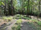 Plot For Sale In Springfield, New Hampshire