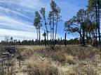 0.5 Acres for Rent in Cloudcroft, NM