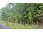 LOT 8 THE PRESERVE, BRASSTOWN, NC 28902 Land For Sale MLS# 145507