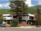 602 E Hyman Ave Aspen, CO 81611 - Home For Rent