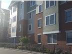 University Heights College Suites Apartments Albany, NY - Apartments For Rent