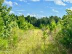 LUKE RD, Noxapater, MS 39346 Land For Sale MLS# 4055642