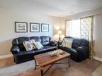 1Bed 1Bath $1290 Per Month