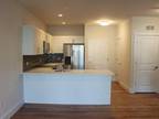 Beautiful 1Bd 1Ba For Rent