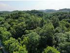 14.25 AC ROCKY HOLLOW ROAD Rogersville, TN