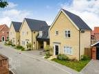 3 bedroom link detached house for sale in William Green Way, Blofield, Norwich