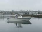 2007 Regulator Marine 29 FS Boat for Sale