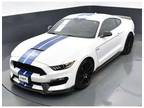 2017 Ford Shelby GT350 Shelby GT350 Fastback