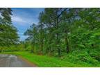 2 Wooded Lot in Longview, TX with 0.67 acres - 306 & 308 Ruth St Longview TX