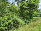 Plot For Sale In Troy, Pennsylvania