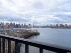 Condo For Rent In Astoria, New York