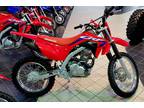 2024 Honda CRF125F - Big Wheel