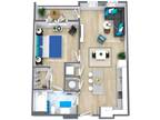 234 The Rise at Regency