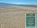 3890 S HOLLIDAY AVE, Pahrump, NV 89048 Land For Sale MLS# 2517487