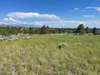 4075 WATER DANCE DR, Helena, MT 59602 Land For Sale MLS# 30011356