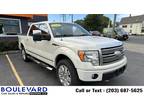 Used 2009 Ford F150 Supercrew Cab for sale.