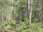 TBD DEERTON-SAND LAKE, Deerton, MI 49822 Land For Sale MLS# 50110172