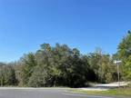 . WILLISTON, FL 32696 Land For Rent MLS# O6130056