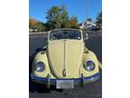 1969 Volkswagen Beetle Convertible