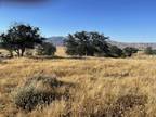 000 FOOTHILL ROAD, NEW CUYAMA, CA 93254 Land For Sale MLS# 23-1990