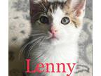 Adopt Lenny Kravitz a Brown Tabby Domestic Shorthair (short coat) cat in Great