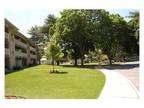 2 Bedroom, 1 Bath Woodholme Manor Apartments