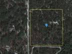 6321 South Roseate Spoonbill Point, Lecanto, FL 34461