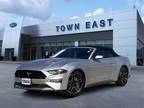 2019 Ford Mustang Silver, 37K miles