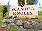 Scandia Knolls