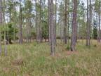 Plot For Sale In Paisley, Florida