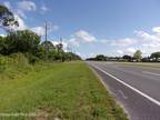 Plot For Sale In Mims, Florida