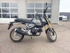 2024 Honda Grom™ Motorcycle for Sale