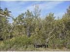 Plot For Sale In Little Torch, Florida