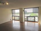 Condo For Rent In Chicago, Illinois