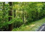 Plot For Sale In Zirconia, North Carolina