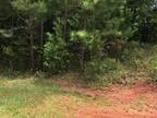 Plot For Sale In Fortson, Georgia