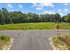 502 RED DRUM WAY E # 14, Swansboro, NC 28584 Land For Sale MLS# 100398240