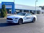 Used 2019 Ford Mustang for sale.