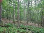 LOT 4 DO RIGHT LANE, Cassville, PA 16623 Land For Sale MLS# 2816533