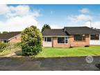 3 bedroom semi-detached bungalow for sale in Shetland Close, Wilpshire
