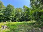 60 OBRIEN HILL RD, Verbank, NY 12585 Land For Sale MLS# H6261682