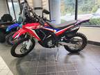 2019 Honda CRF250L Rally