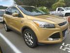 2014 Ford Escape Gold, 111K miles