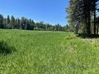 Whitefish, Flathead County, MT Undeveloped Land, Homesites for sale Property ID: