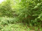 Mahopac, Putnam County, NY Undeveloped Land for sale Property ID: 411654702