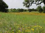 Kerrville, Kerr County, TX Farms and Ranches, Horse Property for sale Property