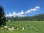 Whitefish, Flathead County, MT Undeveloped Land, Homesites for sale Property ID: