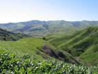Chino Hills, San Bernardino County, CA Undeveloped Land for sale Property ID: