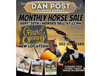 HORSE AUCTION, September 30th!