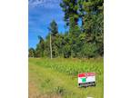 Shorter, Macon County, AL Undeveloped Land for sale Property ID: 414986145